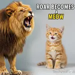 1752138865185.webp