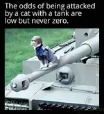 1757309002411.webp