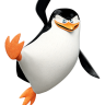 PenguinSkipper