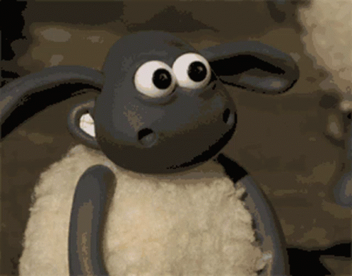 a close up of a cartoon sheep 's face with big eyes